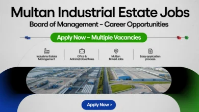 Board of Management Jobs