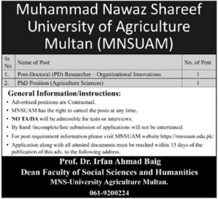MNS University Jobs 01