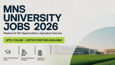MNS University Jobs