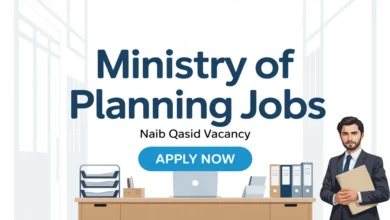 Ministry Of Planning Jobs